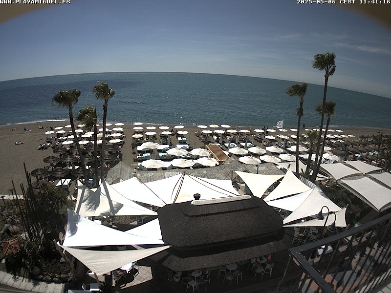 Camera Live Image