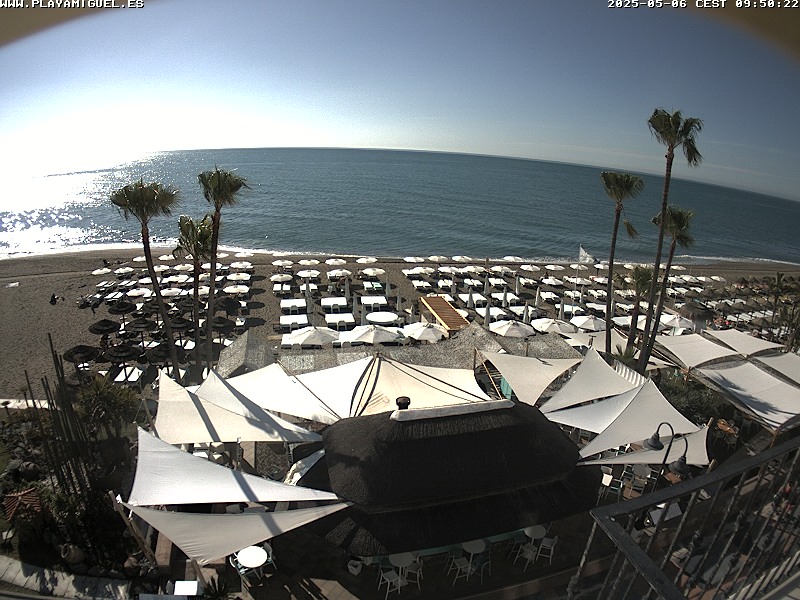 Camera Live Image